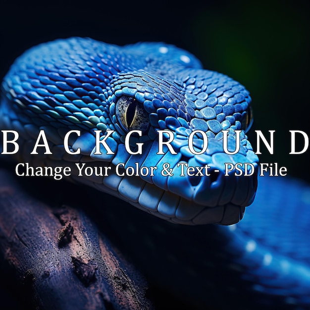 PSD serpente vipera blu