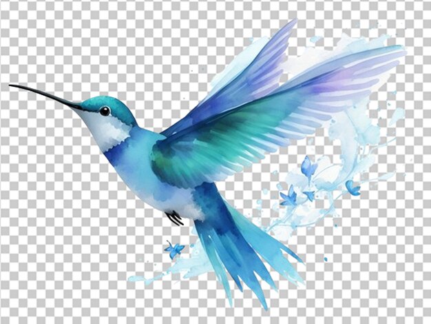 PSD blue water color flying hummingbird