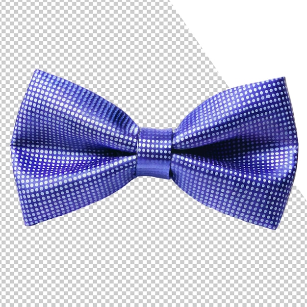 a blue and white bow with a purple ribbon on it