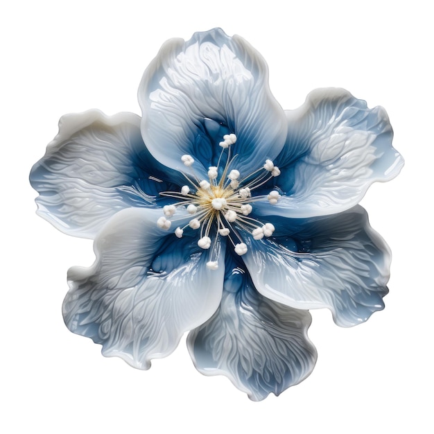 Un fiore blu e bianco con la parola 