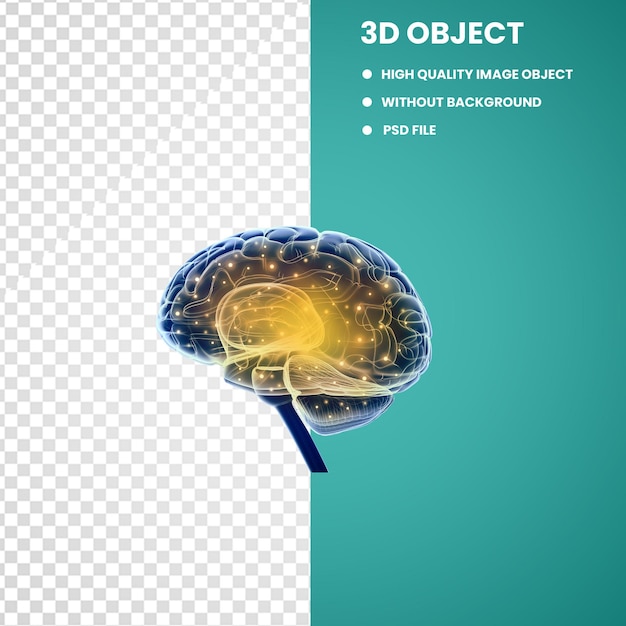 PSD blue and yellow human brain