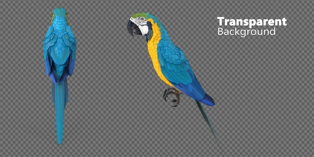 PSD blue and yellow macaw parrot on transparent background