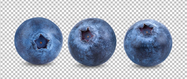 PSD blueberries isolated on alpha layer