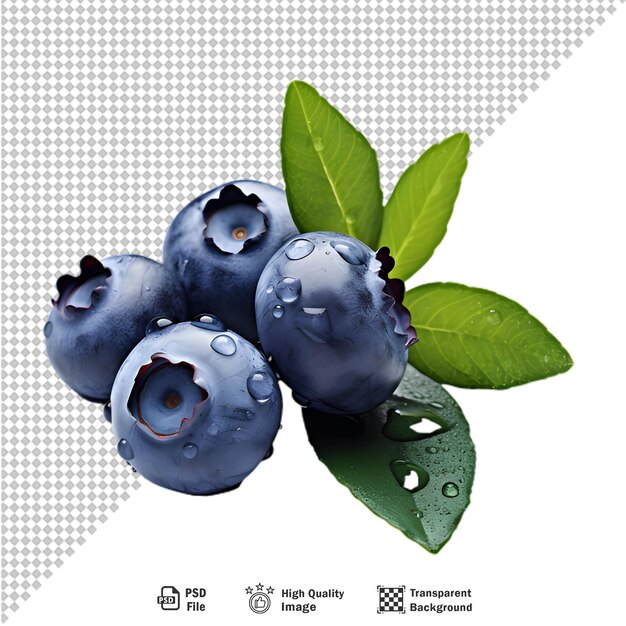 PSD blueberries isolated on transparent background