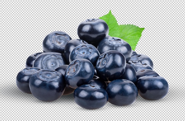 PSD blueberry isolated on alpha layer background