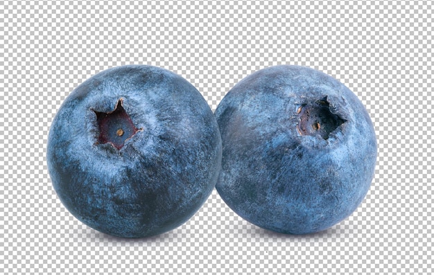 Blueberry isolated on alpha layer