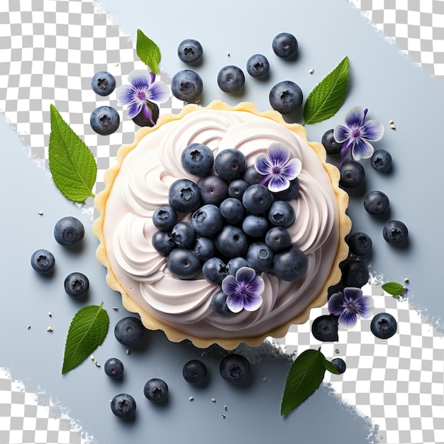 Blueberry tart transparent background from above