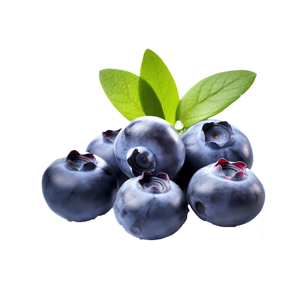 Blueberry