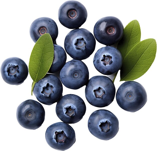 Blueberry