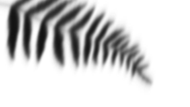 PSD blurred black and white fern leaf detail