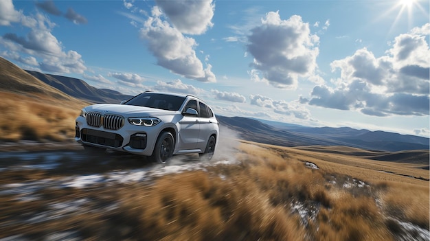 PSD bmw x7 driven on a grassland