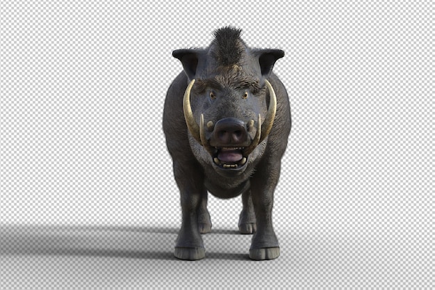 PSD rendering 3d isolato di cinghiale