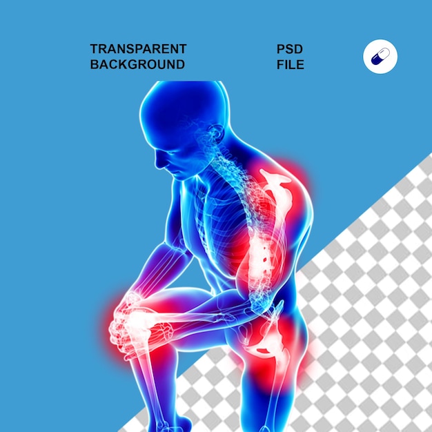body anatomy and xray on transparent isolated background