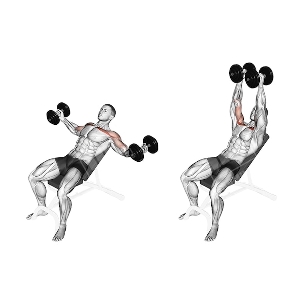 Bodybuilding fitness modell