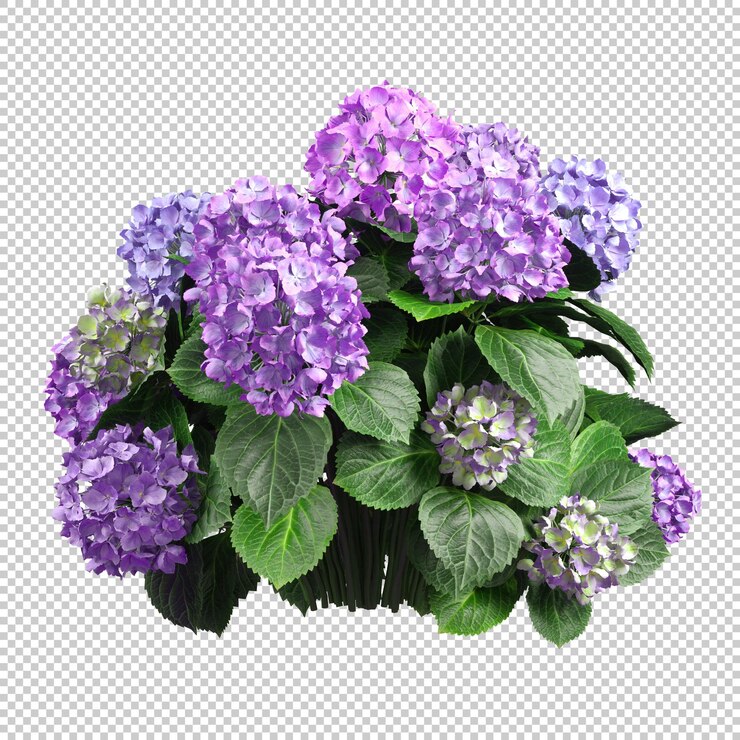 Boeket Bloem flora bloesem uitgesneden transparante achtergrond 3D-rendering