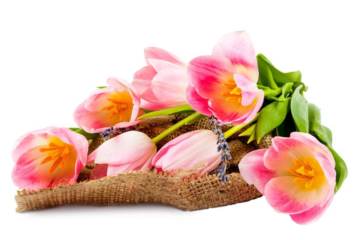 PSD boeket van tulpen