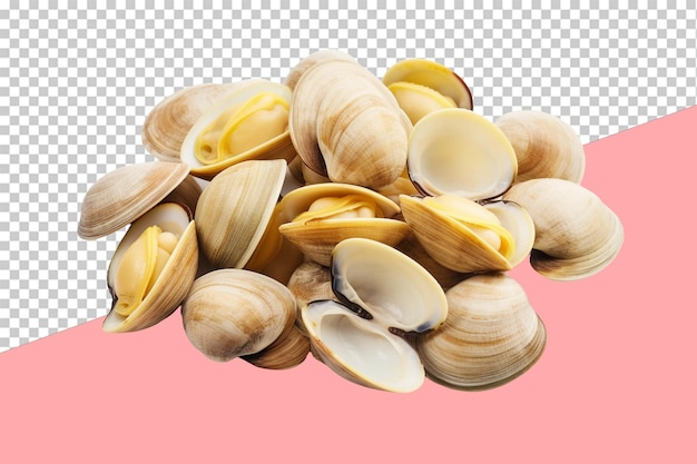 PSD boiled clams. isolated object