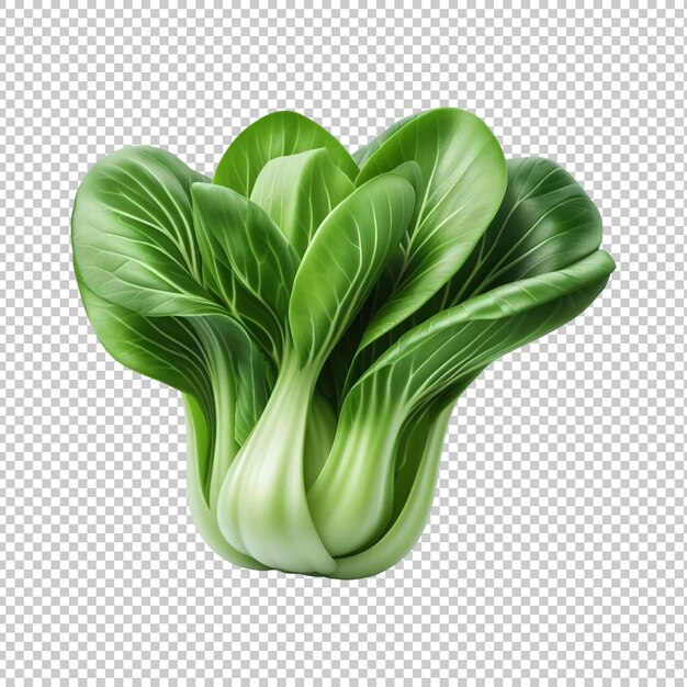 Bok choy or pak choy cabbage isolated fresh vegetables transparent background ai generative