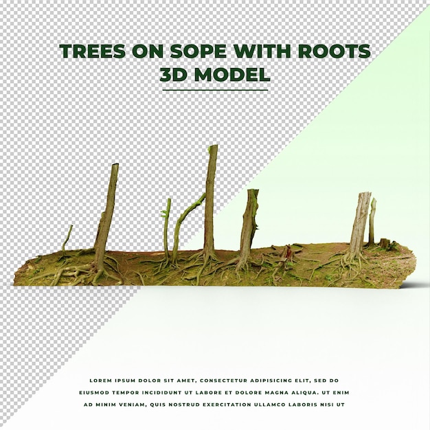 Bomen op Sope met wortels