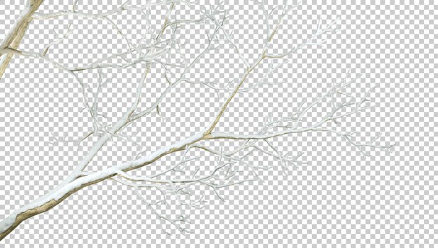 Bomen takken winter op doorzichtige achtergronden 3d render png