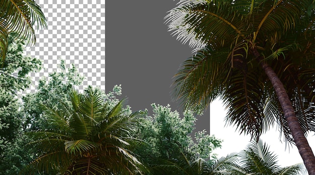 Bomenbladeren op een doorzichtige achtergrond PNG 3D-weergave
