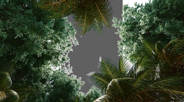 Bomenbladeren op een doorzichtige achtergrond PNG 3D-weergave