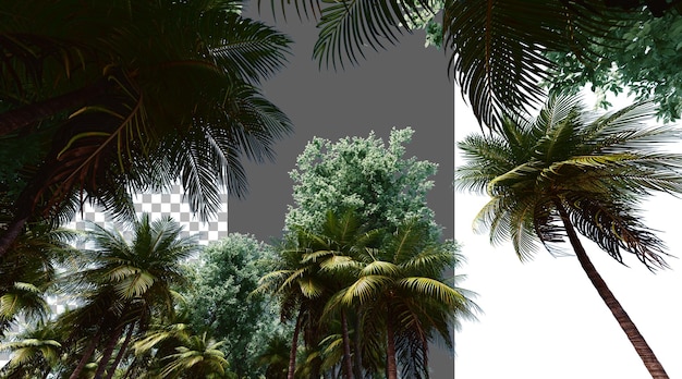 Bomenbladeren op een doorzichtige achtergrond PNG 3D-weergave
