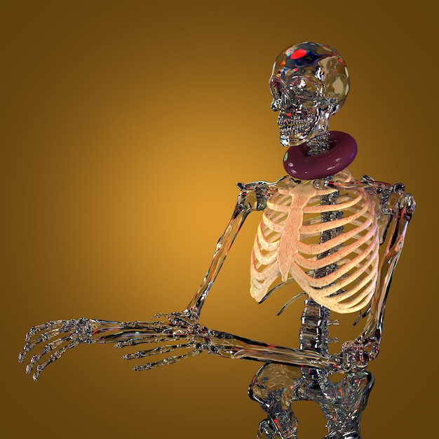 bone and skull