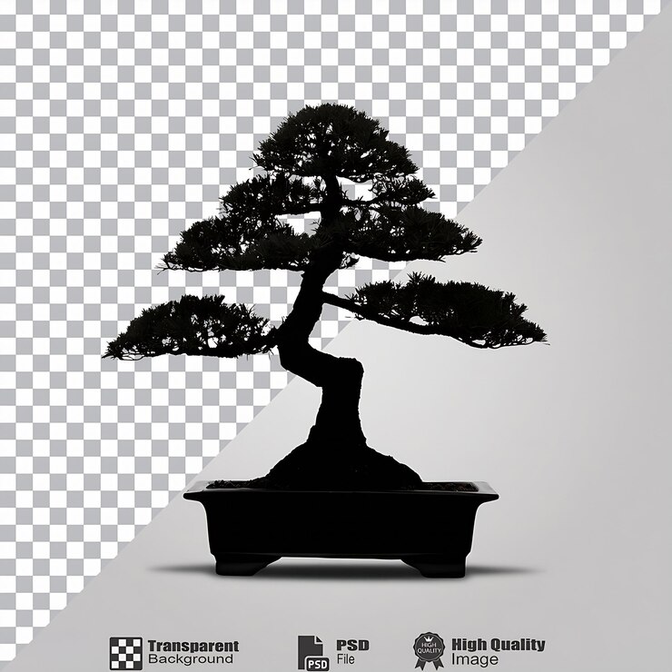 PSD bonsai silhouette isolated on transparent background