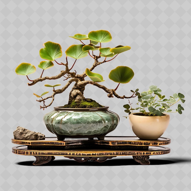 PSD un albero bonsai è su una scala con una pentola e una pianta in vaso su di esso