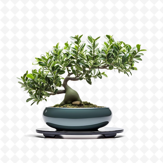 PSD a bonsai tree is sitting in a pot with a white background