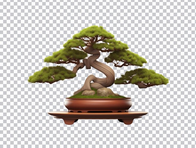 PSD albero di bonsai png