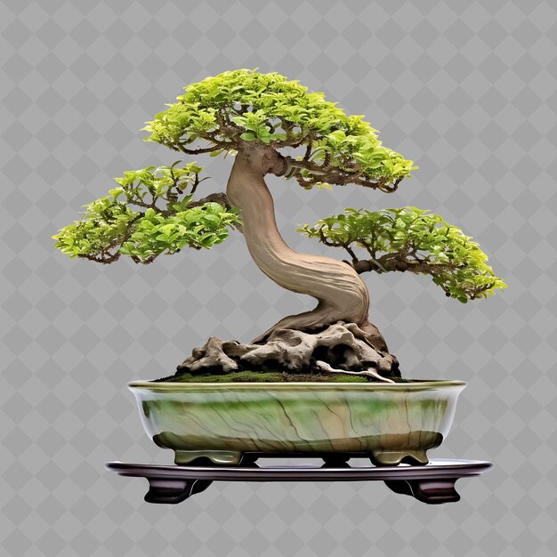 A bonsai tree with a green moss on it