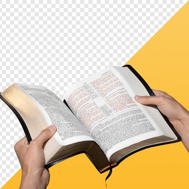 book in Hands