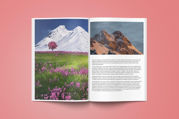 PSD book mockup 2