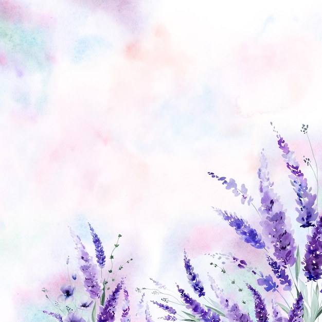 border made of watercolor lavender flowers purple wildflowers wedding isolated illustration