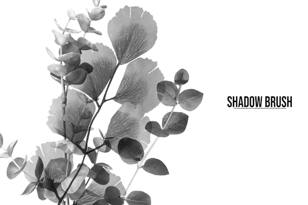 Borstel Eucalyptus en Ginkgo bladeren in monochrome schaduw