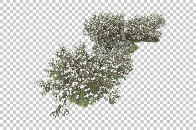 PSD bos met bloemen geïsoleerd op transparante achtergrond 3d rendering illustratie