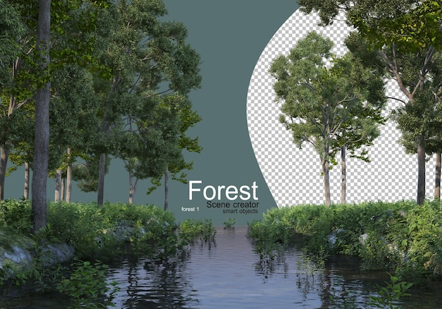 Bos met verschillende soorten bomen