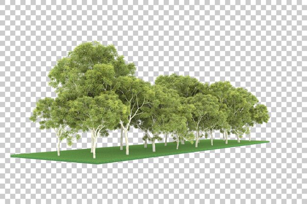 Bos op transparante achtergrond. 3d-rendering - illustratie
