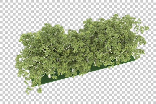 Bos op transparante achtergrond. 3D-rendering - illustratie