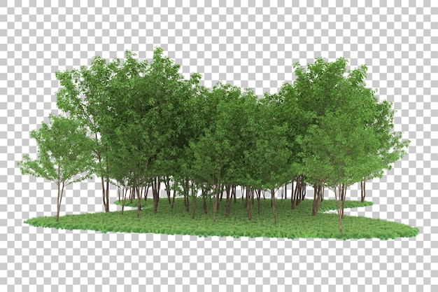 Bos op transparante achtergrond. 3D-rendering - illustratie