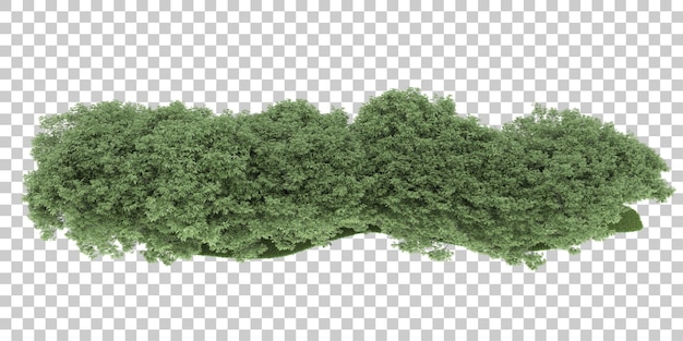 Bos op transparante achtergrond. 3D-rendering - illustratie