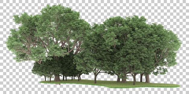 PSD bos op transparante achtergrond. 3d-rendering - illustratie
