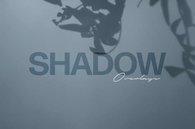 PSD botanic shadow overlay for photos