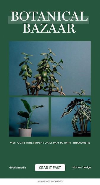 Botanical Bazaar sprzedaż instagram historie szablon PSD Projekt banerów mediów społecznościowych temat zielony układ