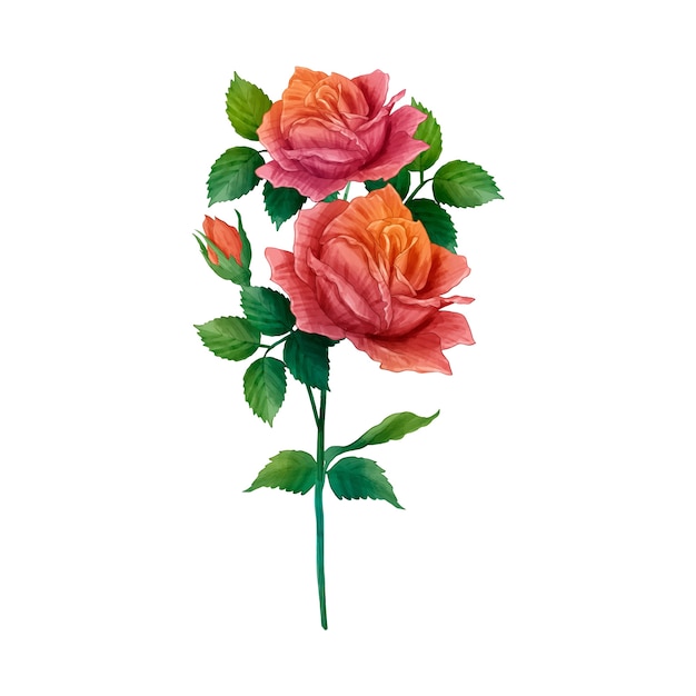 PSD botanical flower design