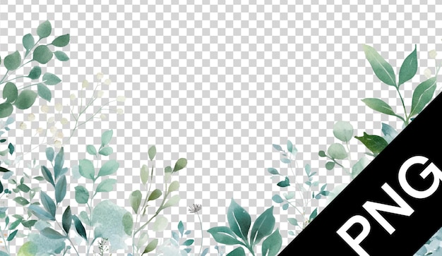 植物学的なイラスト 水彩画
