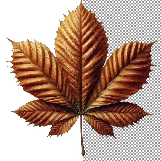 Botanical symphony isolated leaf melody on png