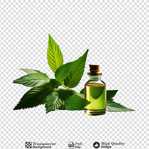 PSD a bottle of essential oil with a green leaf next to it isolated on transparent background